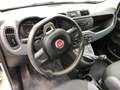 Fiat Panda Panda 1.2 Easy easypower Gpl 69cv Beige - thumbnail 12