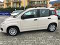 Fiat Panda Panda 1.2 Easy easypower Gpl 69cv Beige - thumbnail 3