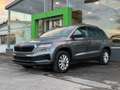 Skoda Karoq Karoq 1.0 TSI • Toit Ouvrant • Navi •CarPlay Gris - thumbnail 2