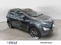 Ford EcoSport 2018 - 1.0 ecoboost ST-Line s&s 125cv my20 Gris - thumbnail 2