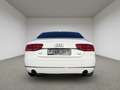 Audi A8 4.2 FSI quattro *TOP*Sehr gepflegt*Reifen NEU Weiß - thumbnail 8