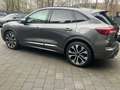 Ford Kuga ST-Line X Panor.|B+O|Led|360°Kam.|LMF20"*Te Grau - thumbnail 8