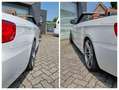 BMW 335 3-serie Cabrio 335i DKG M-sport HighEx|Ad.Xenon|Na Blanco - thumbnail 15