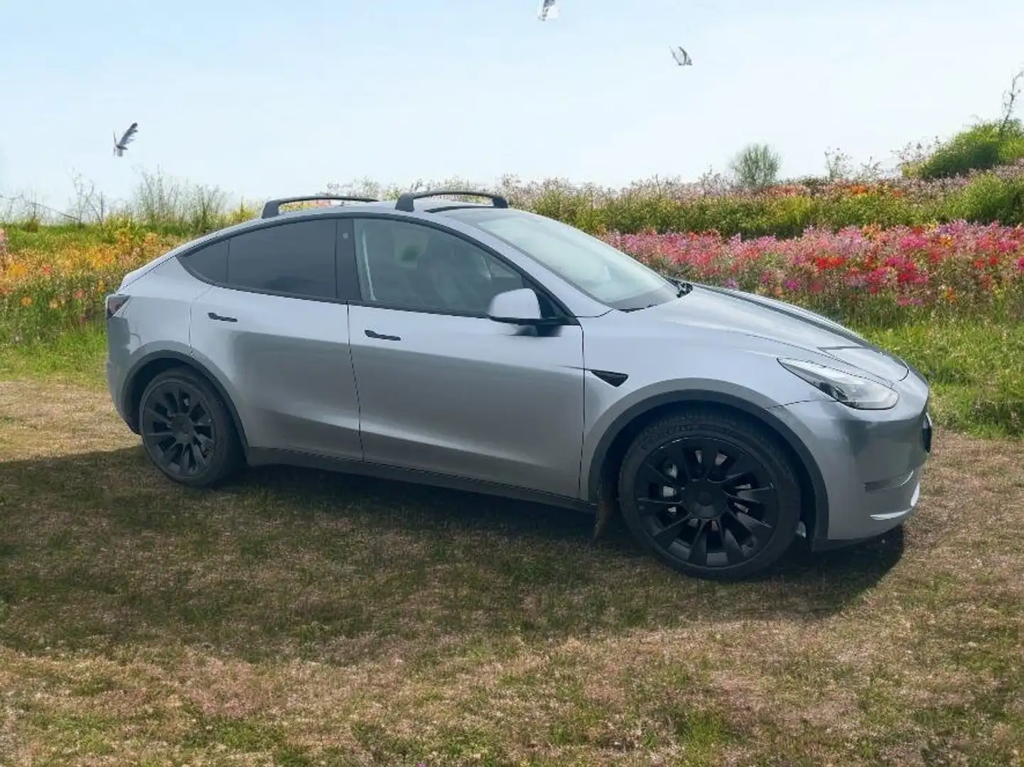 Tesla Model Y Model Y Long Range Dual Motor AWD Plateado - 1