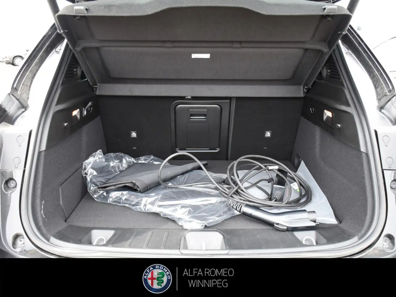 Alfa Romeo Tonale снимка Alfa Romeo Tonale