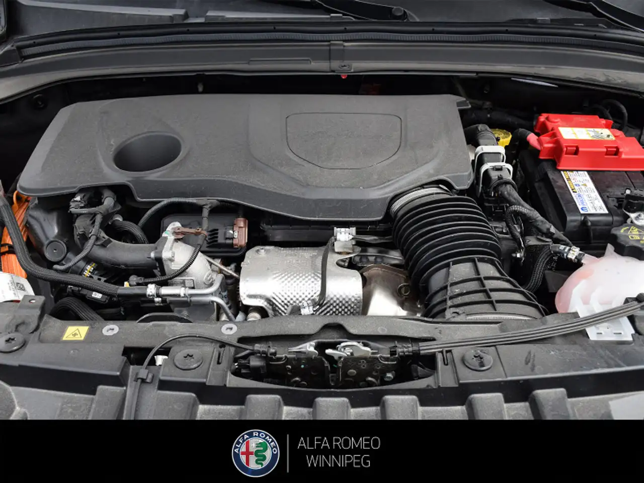 Alfa Romeo Tonale снимка Alfa Romeo Tonale