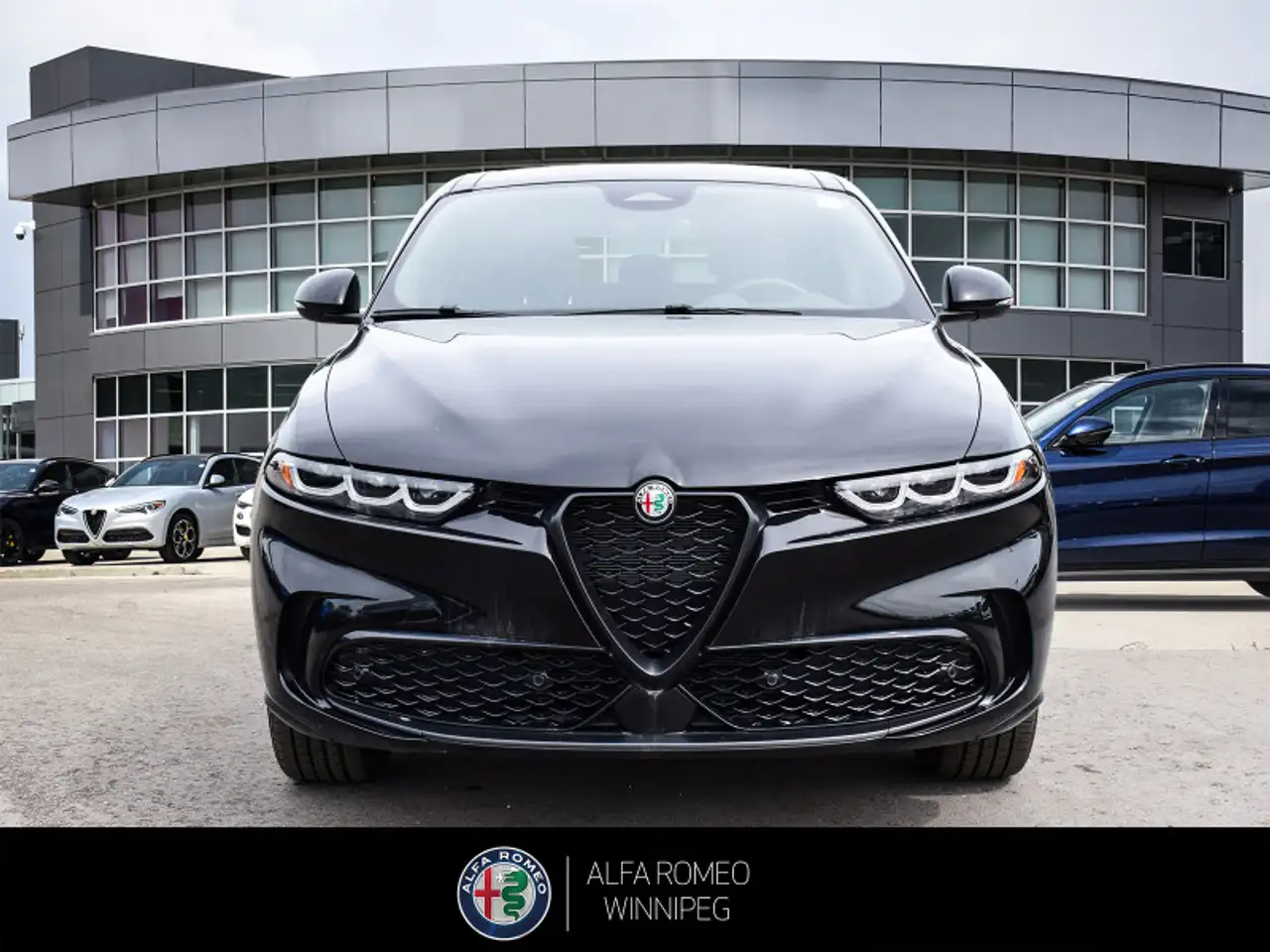 Alfa Romeo Tonale снимка Alfa Romeo Tonale