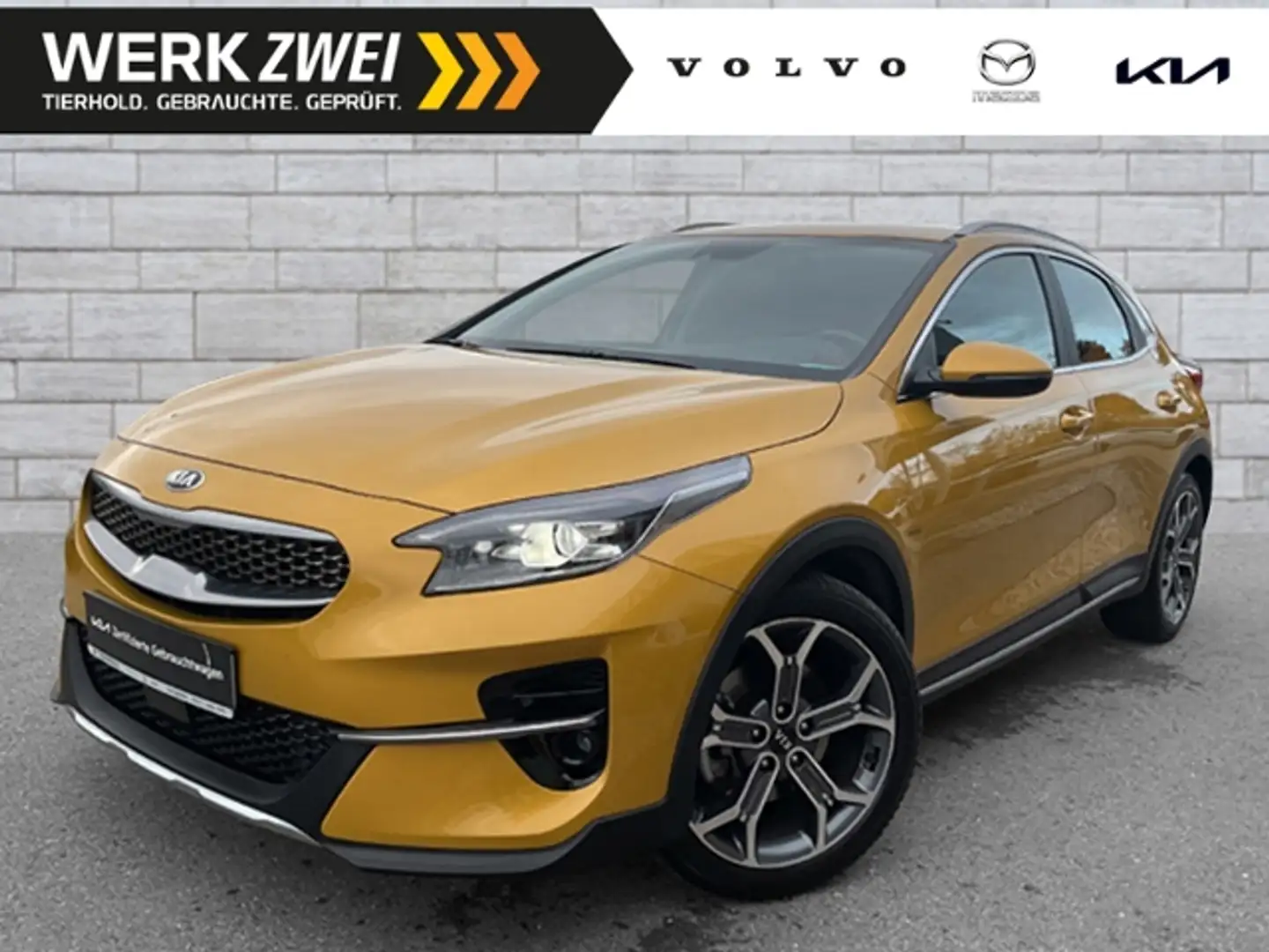 Kia XCeed 1,5 Spirit AT AHK ACC Allwetterreifen 18" Jaune - 1