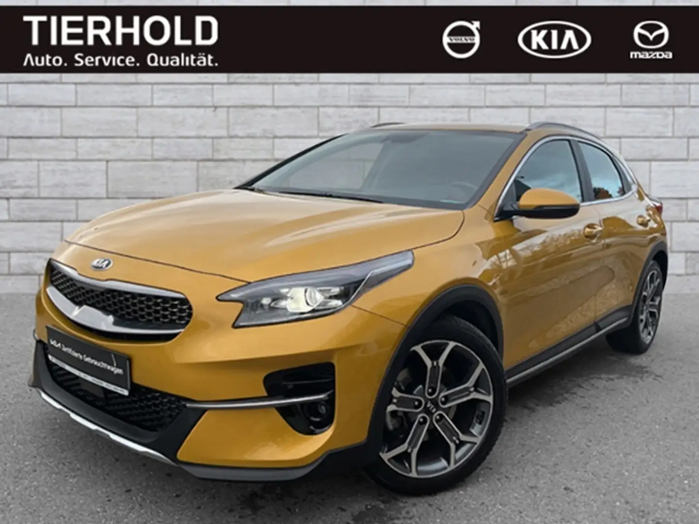 Kia XCeed 1,5 Spirit AT AHK ACC Allwetterreifen 18" Jaune - 2