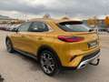 Kia XCeed 1,5 Spirit AT AHK ACC Allwetterreifen 18" Jaune - thumbnail 5