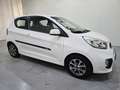 Kia Picanto 1.2 CVVT Plus Pack 3Drs AC NAP Wit - thumbnail 26