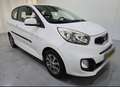 Kia Picanto 1.2 CVVT Plus Pack 3Drs AC NAP Wit - thumbnail 1