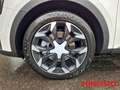 Kia Sorento 2,2 CRDI DCT AWD Platinum 7-Sitz. Pano Premium-P. Белый - thumbnail 8