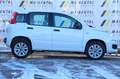 Fiat Panda Easy|Klima|USB|Radio|Isofix|Komfort-Paket - thumbnail 8