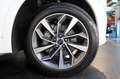 Audi Q5 40 TDI Quattro S-Tronic S-Line - TELECAMERA/LUCI + Weiß - thumbnail 6