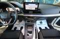 Audi Q5 40 TDI Quattro S-Tronic S-Line - TELECAMERA/LUCI + Weiß - thumbnail 33