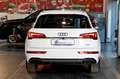 Audi Q5 40 TDI Quattro S-Tronic S-Line - TELECAMERA/LUCI + Weiß - thumbnail 4