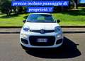 Fiat Panda 1.0 hybrid PREZZO REALE, NO VINCOLI FINANZIARI Weiß - thumbnail 2