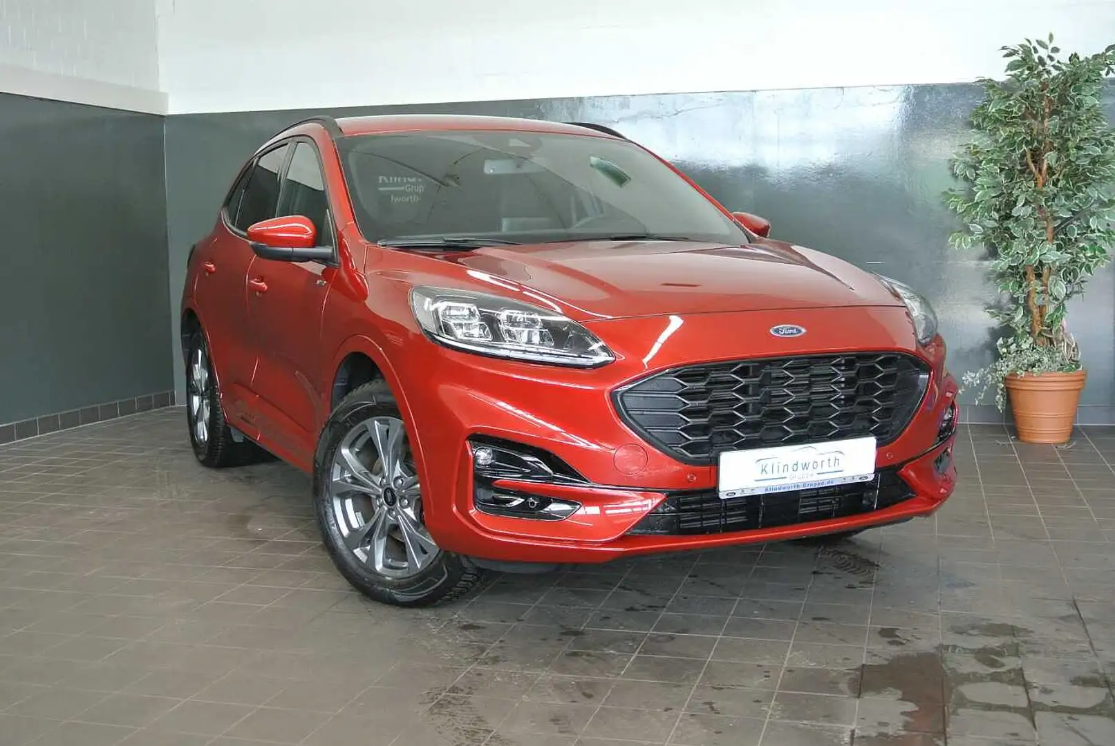 Ford Kuga 2.0 EcoBlue 4x4 Aut. ST-Line X +AHK+GJR+RFK Rojo - 2