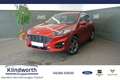 Ford Kuga 2.0 EcoBlue 4x4 Aut. ST-Line X +AHK+GJR+RFK Rojo - thumbnail 1