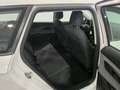 SEAT Leon 1.6 TDI 115 CV ST Black Edition Bianco - thumbnail 7