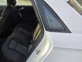 Audi A1 Sportback 1.4 tdi Metal Plus Weiß - thumbnail 14