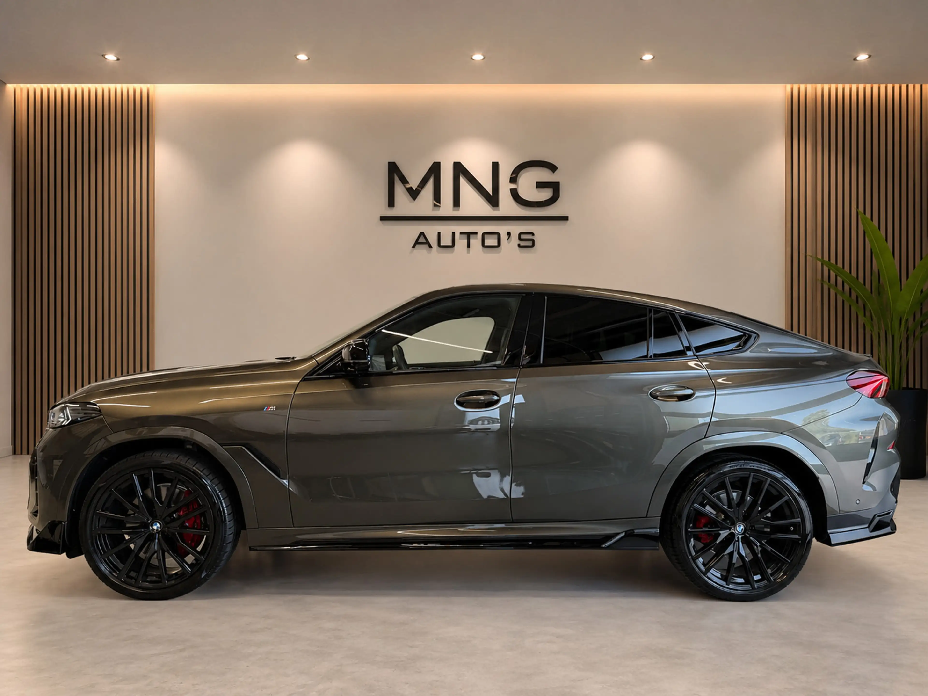 BMW X6 XDrive40i|St.Koeling|Pano|Massage|Softclose|Skylou — photo 10