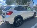 Subaru XV Comfort Weiß - thumbnail 5
