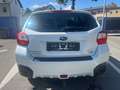 Subaru XV Comfort Weiß - thumbnail 6