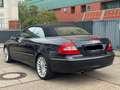Mercedes-Benz CLK 500 Harmann Kardon ACC MEMORY Blau - thumbnail 7