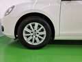 Volkswagen Golf Golf VI 5p 1.6 tdi Comfortline Blanco - thumbnail 47