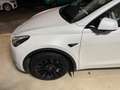 Tesla Model Y Model Y Long Range RWD Weiß - thumbnail 5