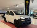 Fiat Panda Panda 1.3 mjt 16v s Wit - thumbnail 1
