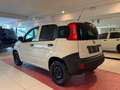 Fiat Panda Panda 1.3 mjt 16v s Wit - thumbnail 5