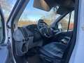 Ford Transit 2.2 Tdci RWD Campervan Weiß - thumbnail 11