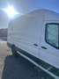 Ford Transit 2.2 Tdci RWD Campervan Weiß - thumbnail 3