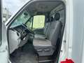 Renault Master Verkauf*Borco-Höhns*Theke*Kühlung* Weiß - thumbnail 27