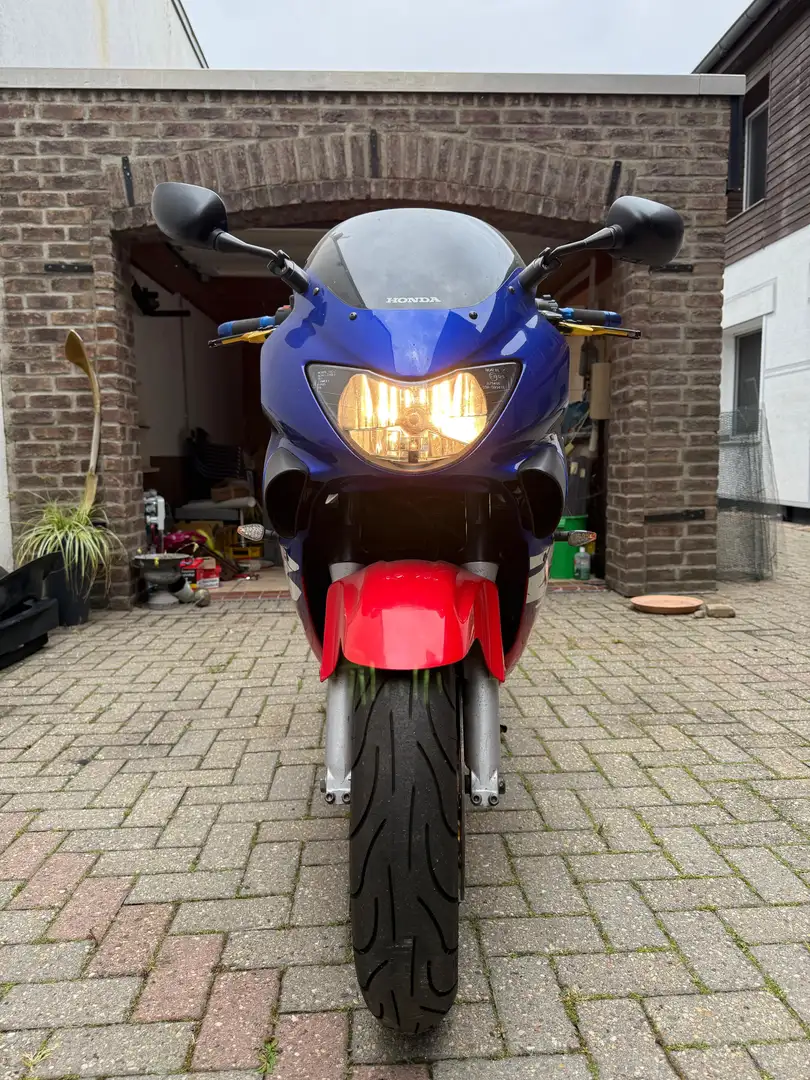 Honda CBR 600 PC 35 Rot - 2
