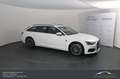 Audi A6 Avant 35 TDI S-tronic MEMORY BUSINESS TOP!!! Weiß - thumbnail 4
