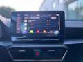 CUPRA Formentor Formentor  2.0 tdi 4drive 150cv dsg Grigio - thumbnail 11