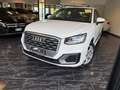 Audi Q2 Q2 30 1.0 tfsi Business my20 Blanc - thumbnail 3