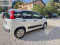 Fiat Panda Panda GPL 12MESI DI GARANZIA Weiß - thumbnail 5