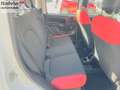 Fiat Panda Panda GPL 12MESI DI GARANZIA Weiß - thumbnail 20
