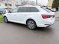 Skoda Superb Kombi 2.0 TDI Style DSG*LED*NAVI*KAMERA Weiß - thumbnail 5