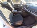 Kia Sportage Sportage 1.6 CRDi MHEV DCT Business Bianco - thumbnail 15