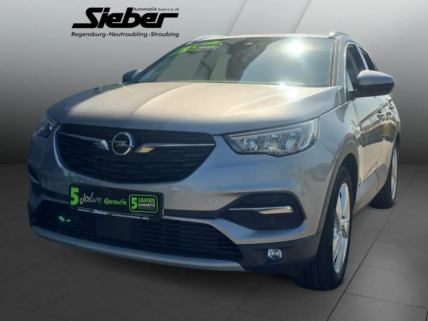 Opel Grandland 1.6 Turbo Elegance 4 **Navi*Allrad** Grijs - 2
