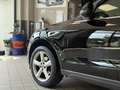 Audi Q5 2.0 tdi quattro 170cv s-tronic dpf - thumbnail 6