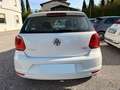 Volkswagen Polo 1.4 TDI 5p. Fresh Bianco - thumbnail 4