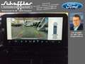Ford Tourneo Custom 320 L1 Tourneo Titanium FWD Grau - thumbnail 10