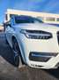 Volvo XC90 XC90 II 2.0 d5 Business Plus 235cv 7 posti Fehér - thumbnail 5